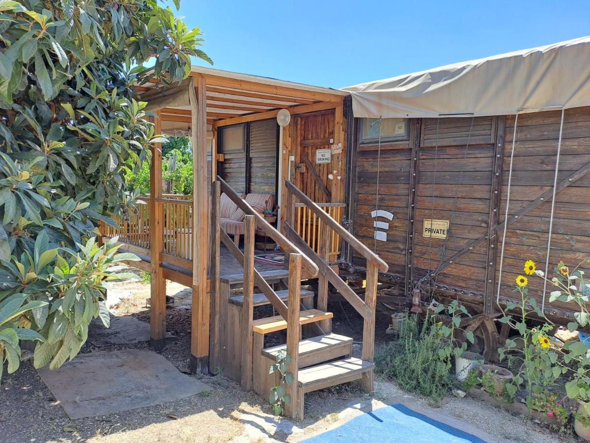 Galilee Bedouin Camplodge Tabash Екстериор снимка