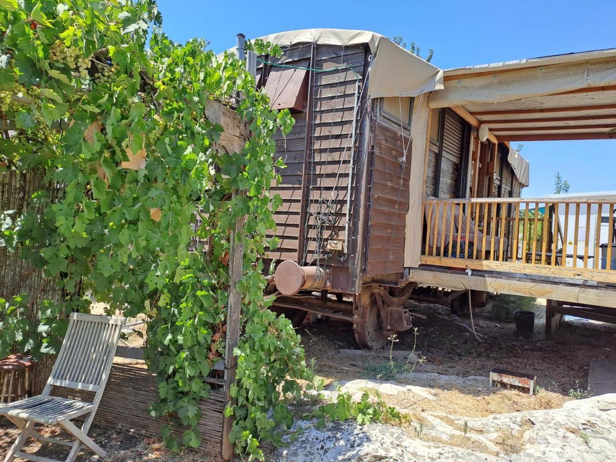 Galilee Bedouin Camplodge Tabash Екстериор снимка