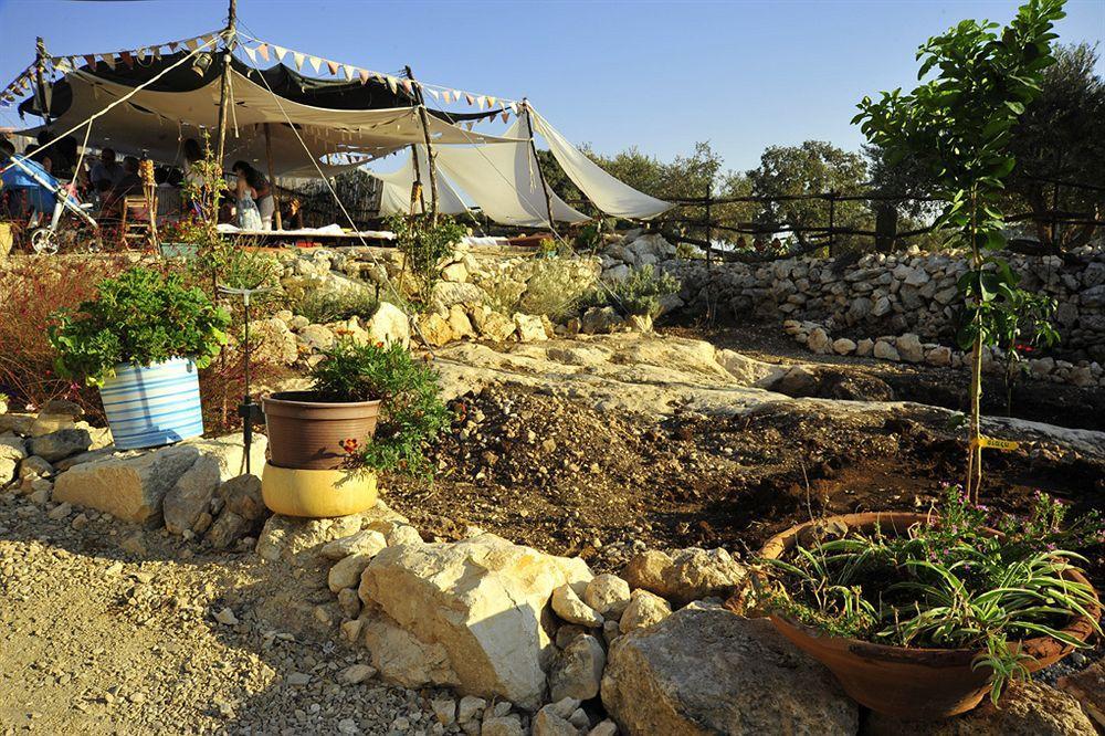 Galilee Bedouin Camplodge Tabash Екстериор снимка