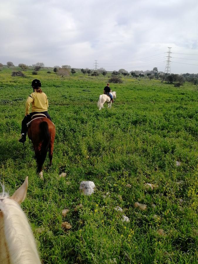 Galilee Bedouin Camplodge Tabash Екстериор снимка